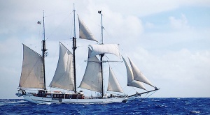 Reed-diagram a hajó stabilitását ábrázolja